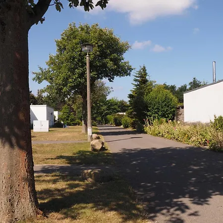 Vakantiehuis Stolteraa 34 *
